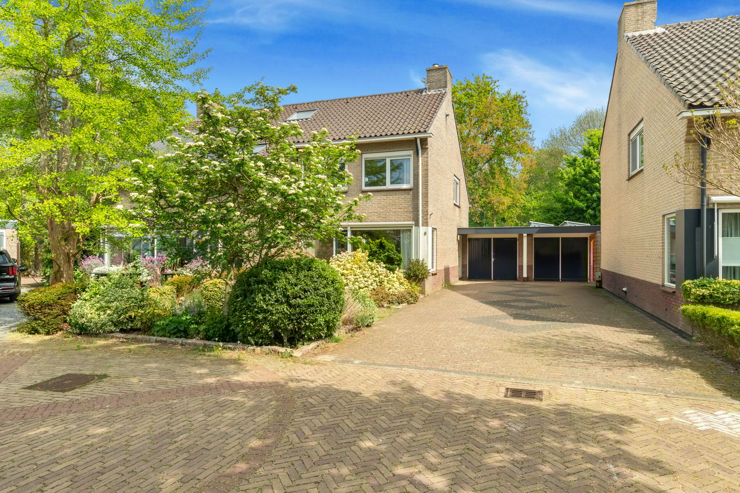 Foto 5 van Harrelaers 9