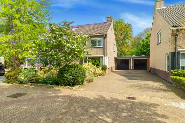 Foto 5 van Harrelaers 9