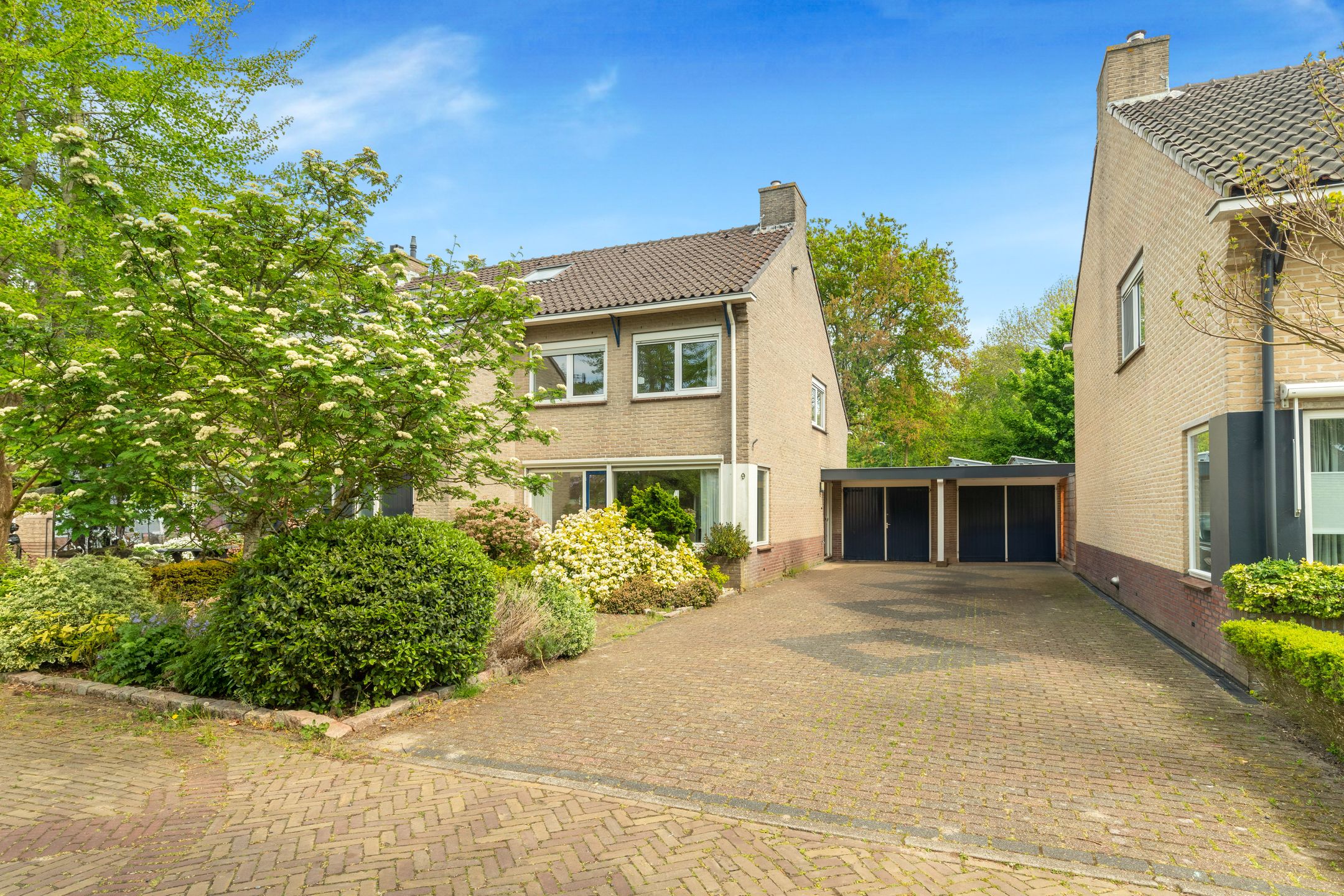 Foto 54 van Harrelaers 9