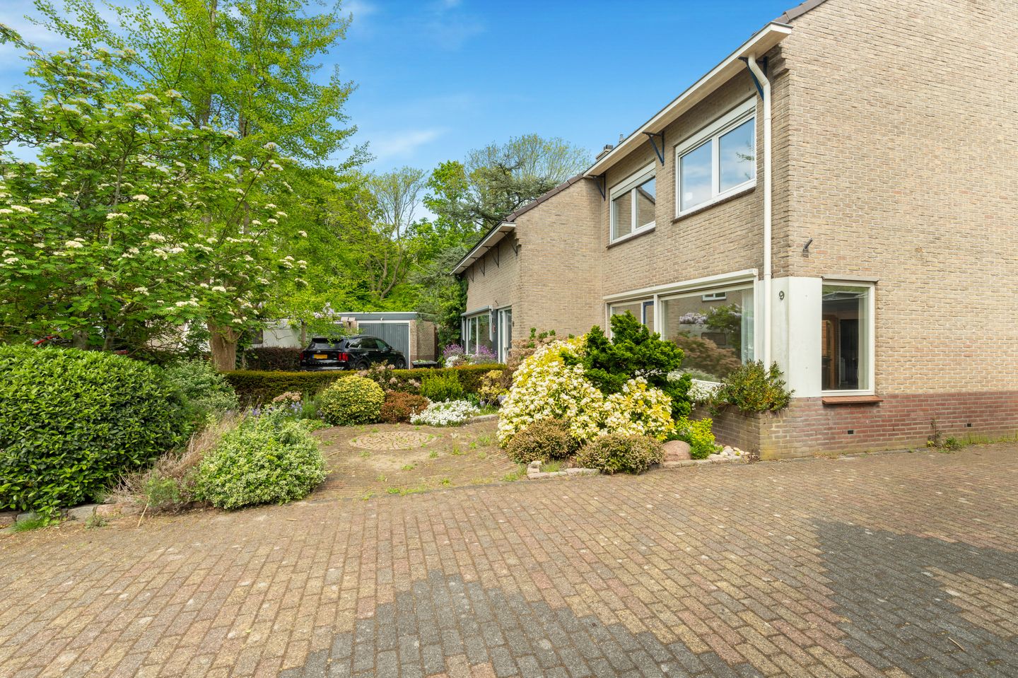 Foto 55 van Harrelaers 9