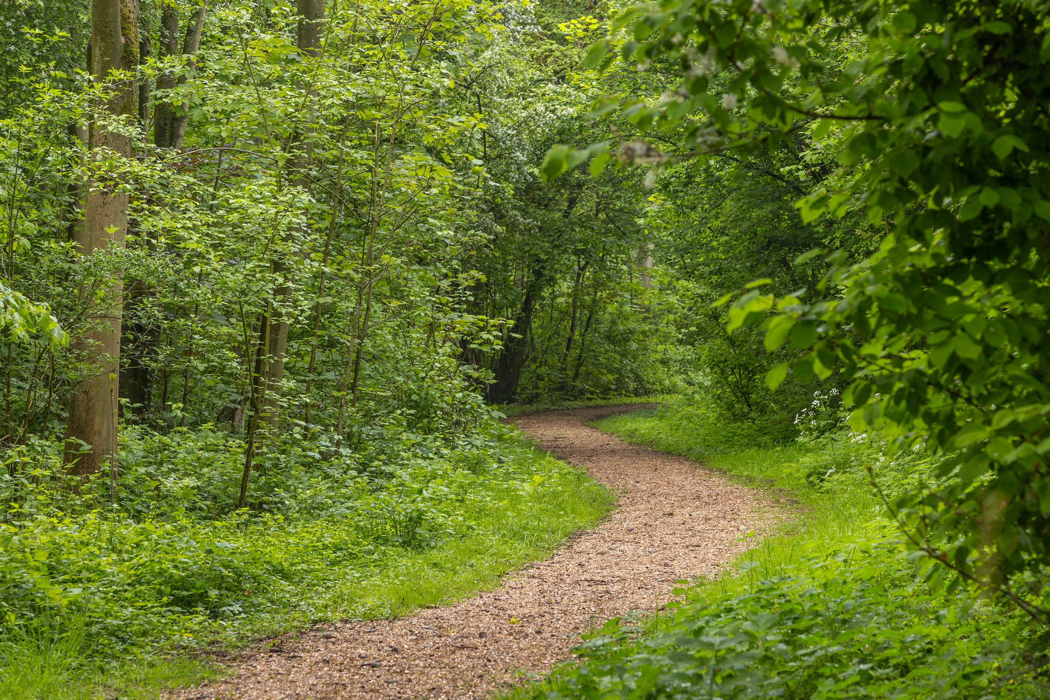 Foto 72 van Dorpsstraat 134