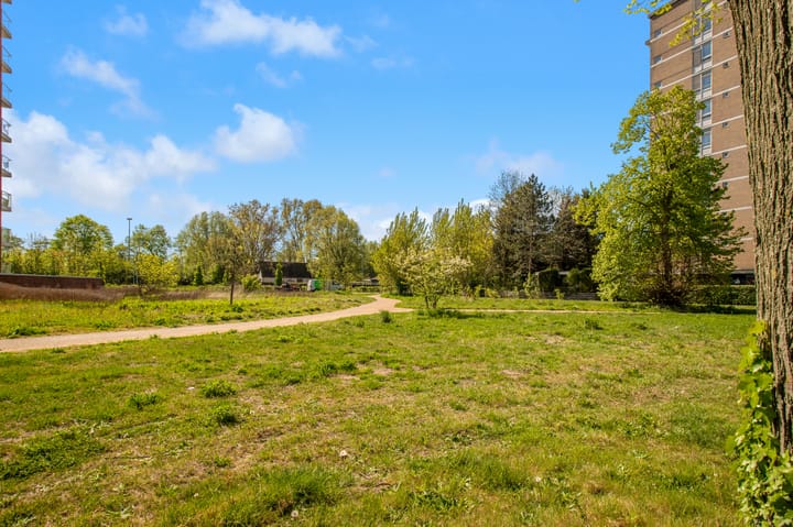 Foto 25 van Debora Bakelaan 11