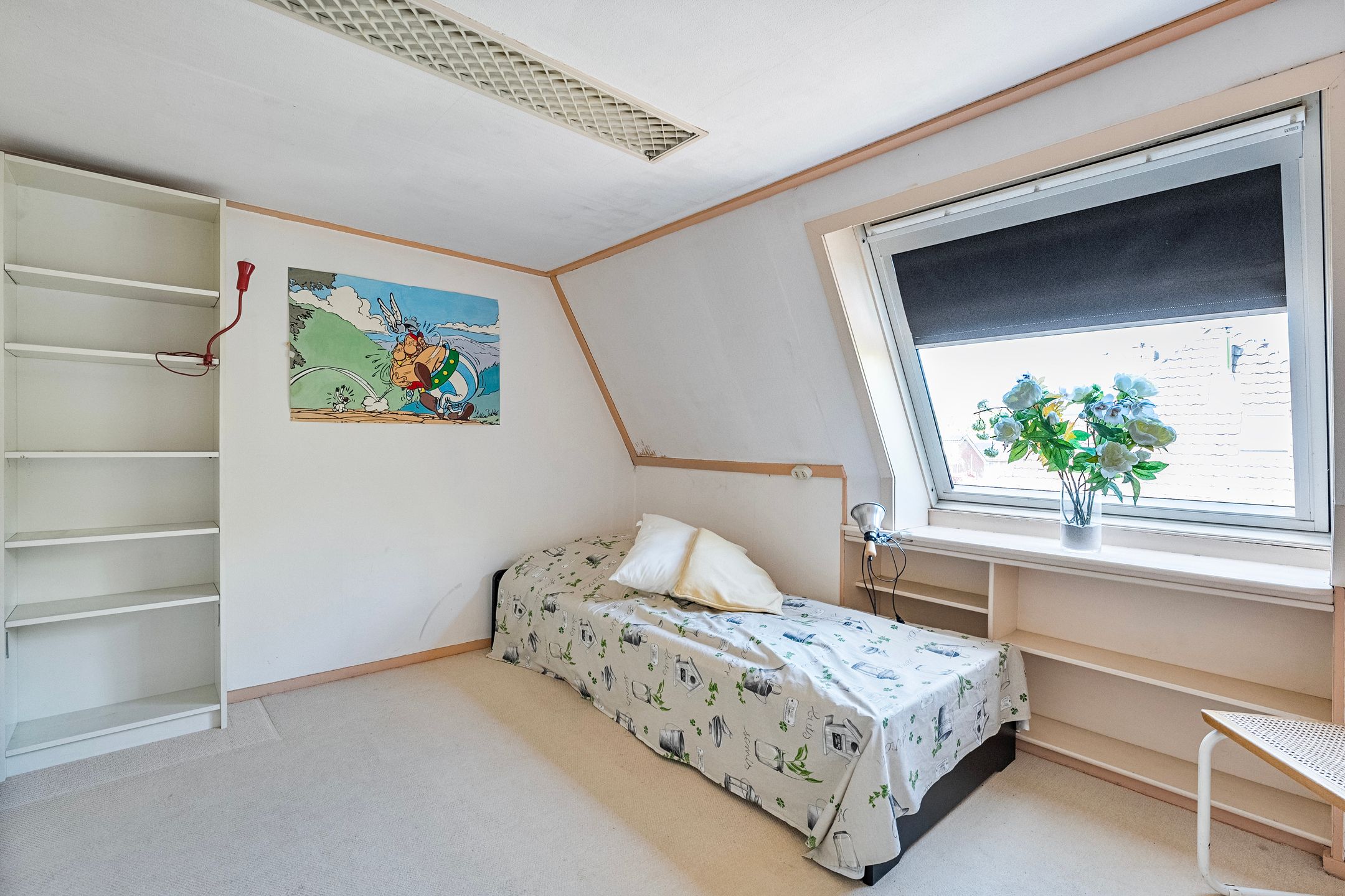 Foto 30 van Dillenburgstraat 12