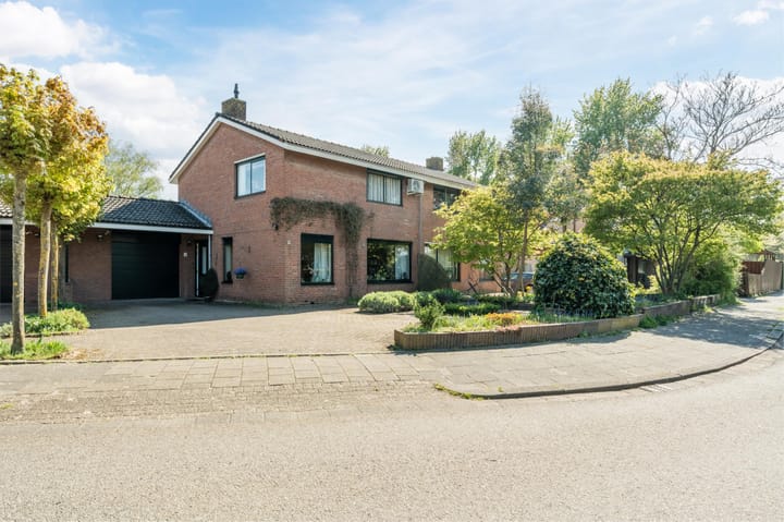 Bekijk foto van Raaigras 4