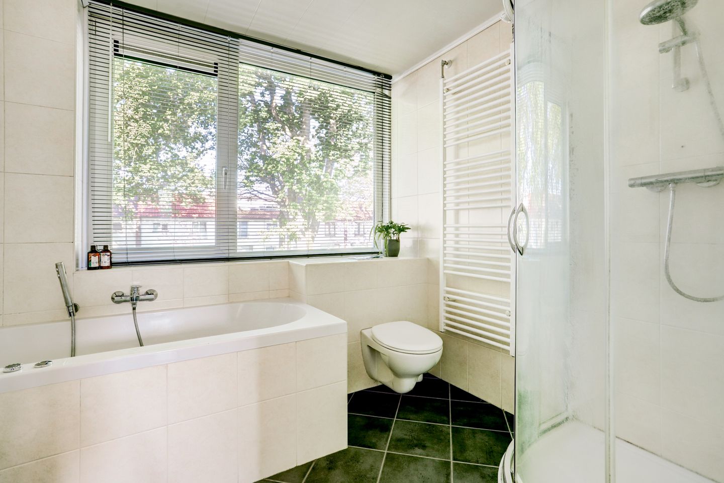 Foto 20 van Koningin Julianaweg 81