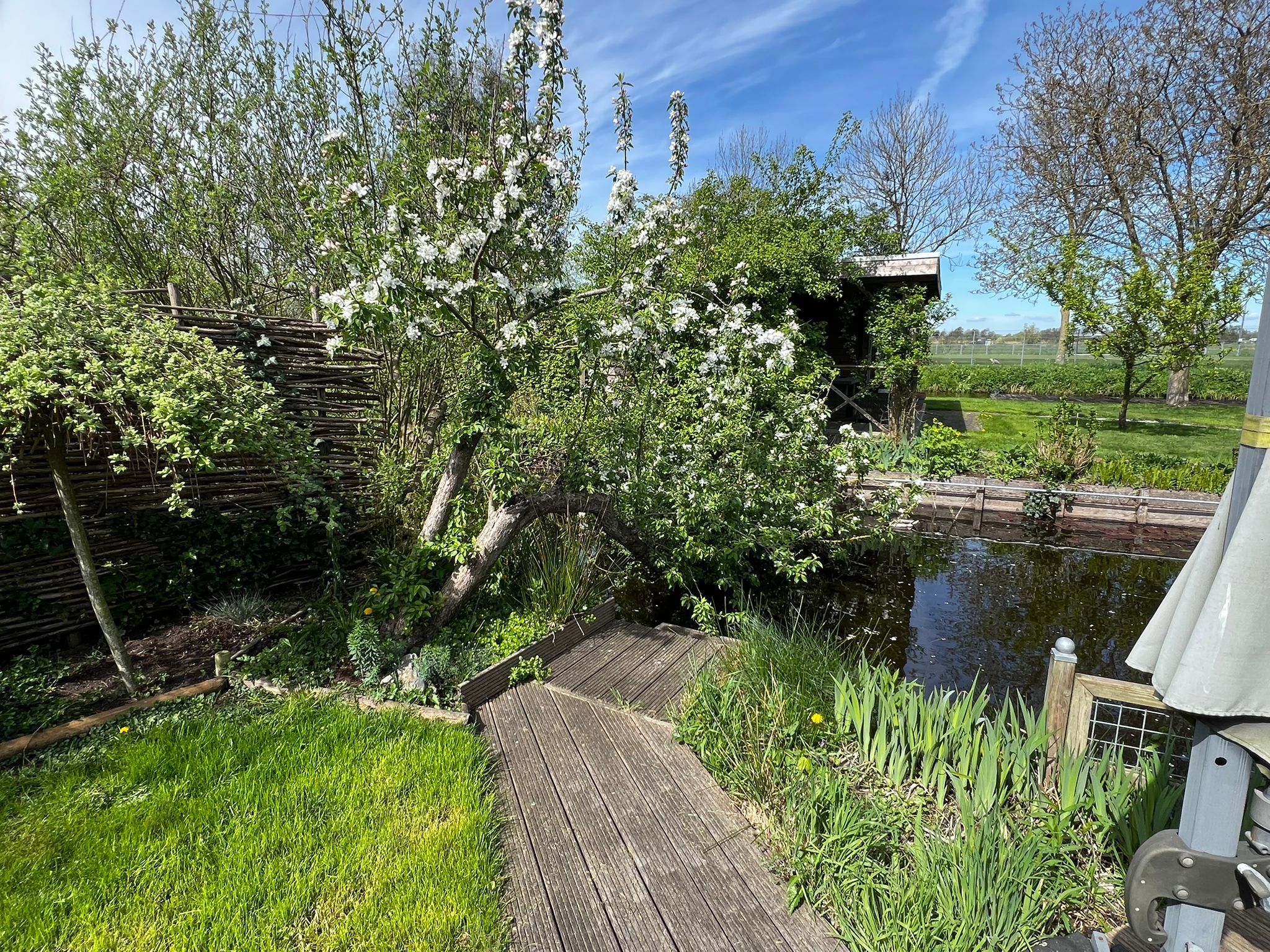 Photo 33 of Vinkenslag 3