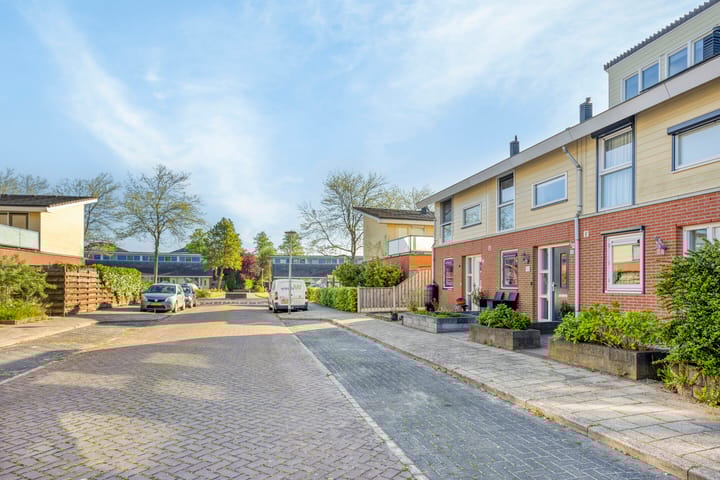 Foto 46 van Duiveland 32