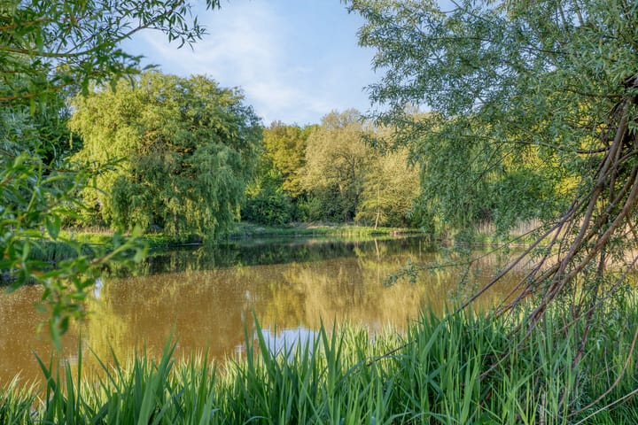 Foto 48 van Duiveland 32