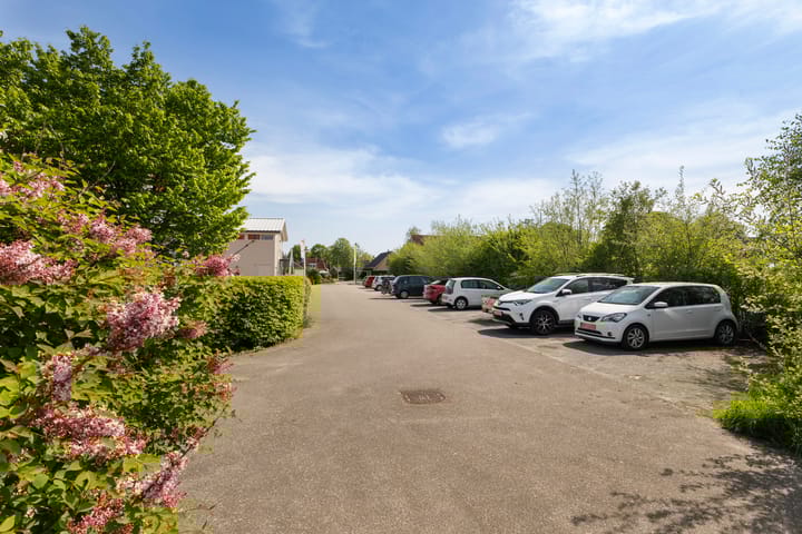 Foto 42 van Kupersleantsje 1003