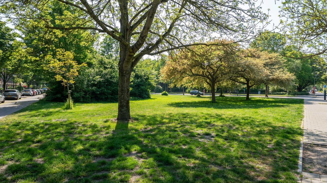 Photo 62 of Rijndijkstraat 95