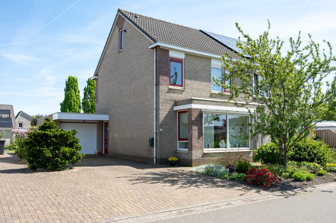 Photo 1 of Bonte Specht 35