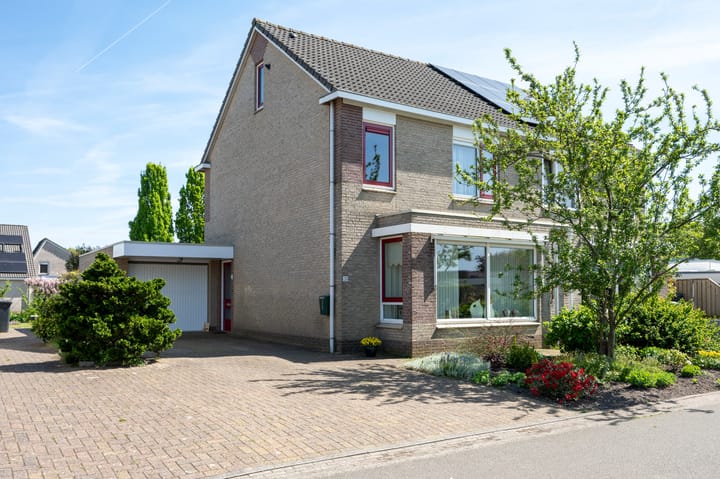 Foto 1 van Bonte Specht 35