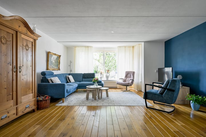 Foto 3 van Bonte Specht 35