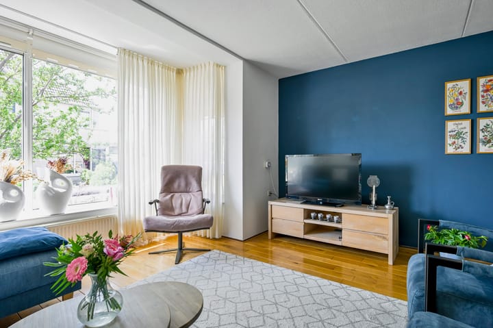 Foto 5 van Bonte Specht 35