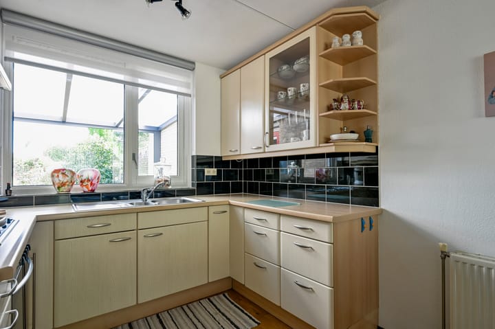 Foto 10 van Bonte Specht 35