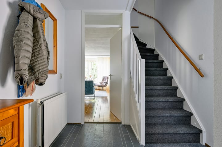 Foto 13 van Bonte Specht 35