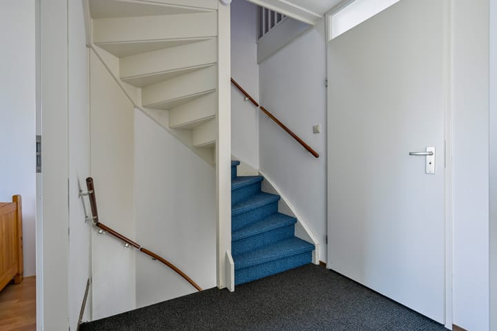 Foto 20 van Bonte Specht 35