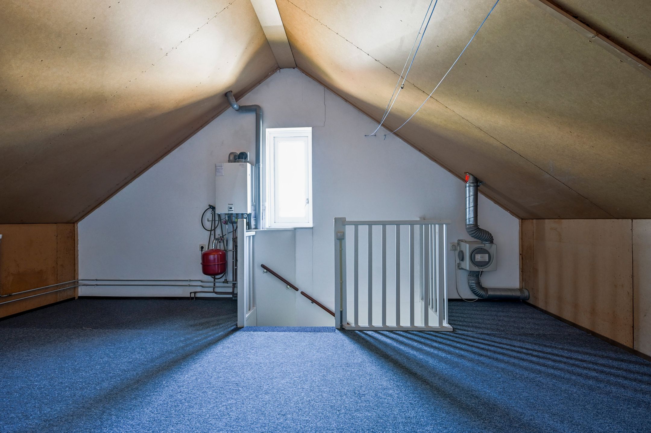 Photo 21 of Bonte Specht 35