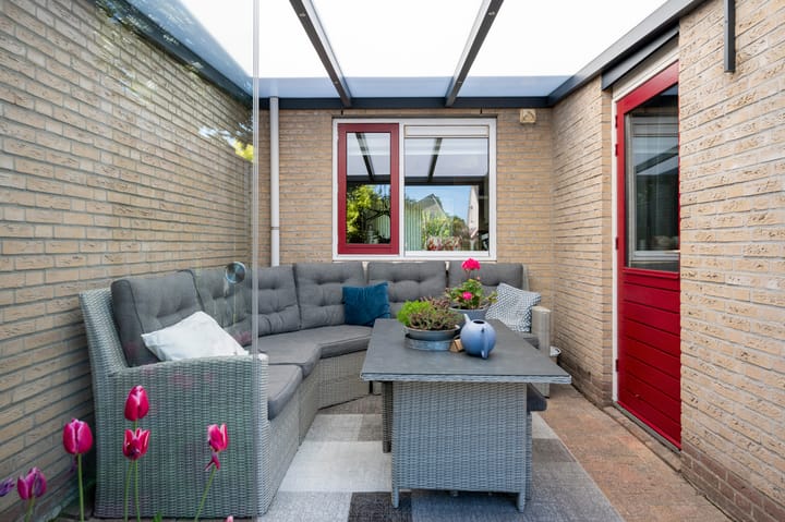 Foto 22 van Bonte Specht 35