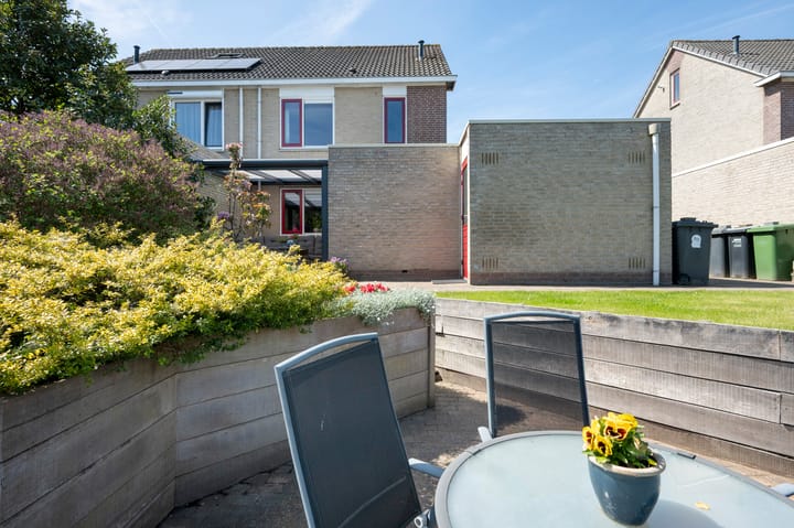 Foto 26 van Bonte Specht 35