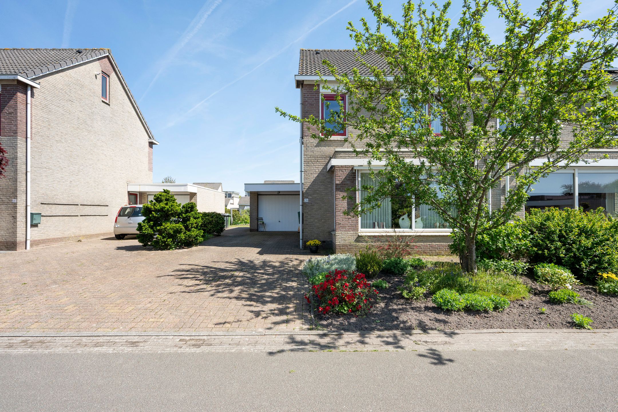 Photo 30 of Bonte Specht 35
