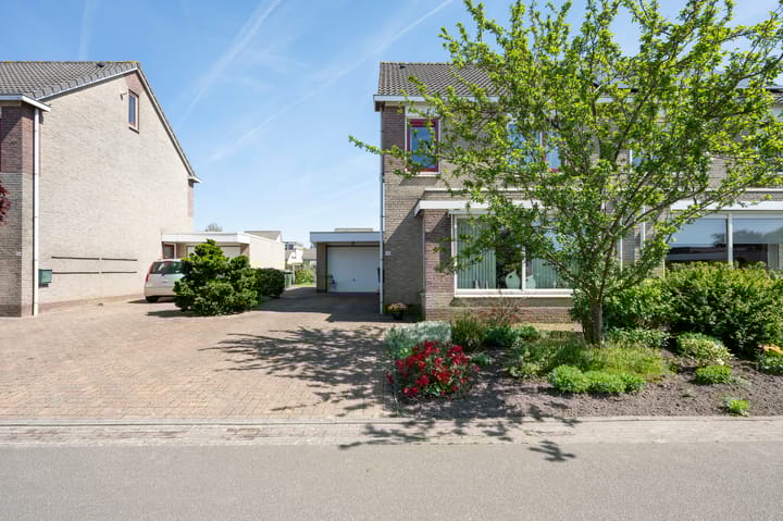 Foto 30 van Bonte Specht 35