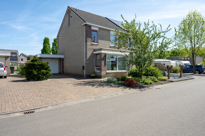 Foto 31 van Bonte Specht 35