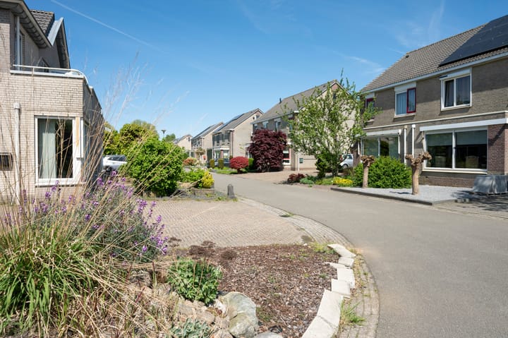 Foto 32 van Bonte Specht 35