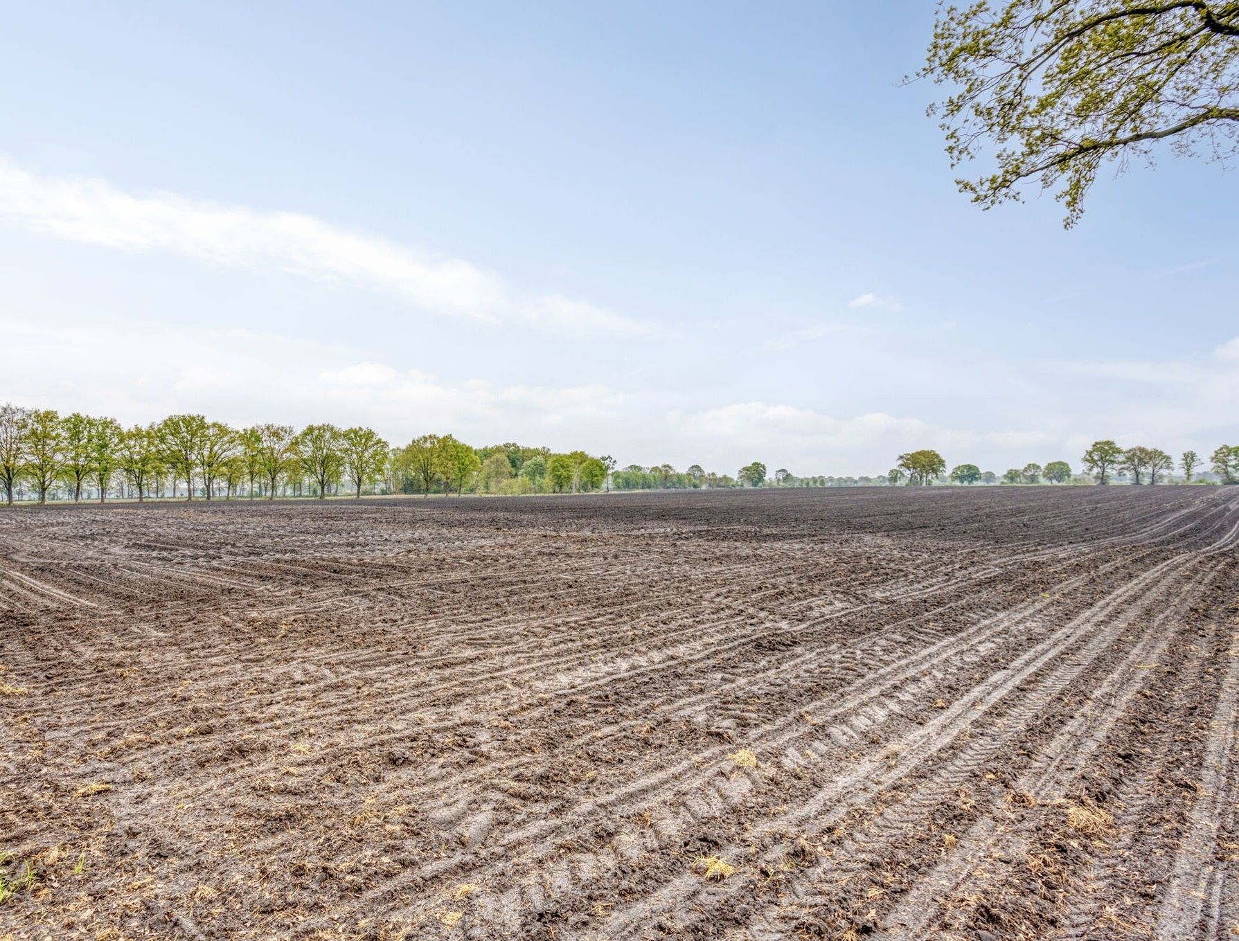 Foto 60 van Oostelbeersedijk 12