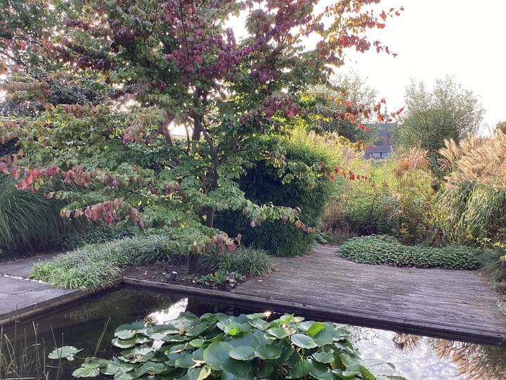 Foto 54 van Kalkovens 5