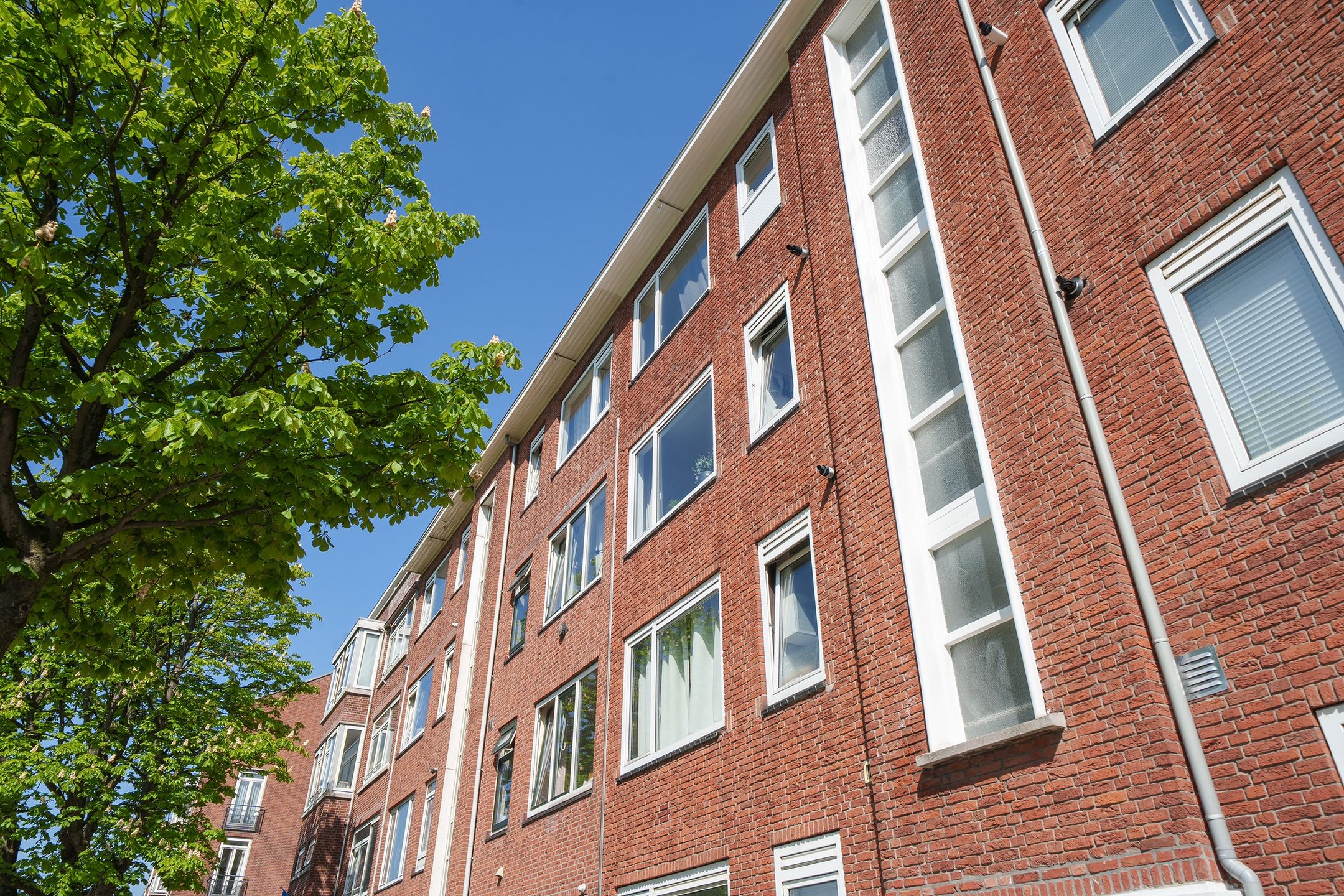 Photo 24 of Schiedamseweg Beneden 463-02L