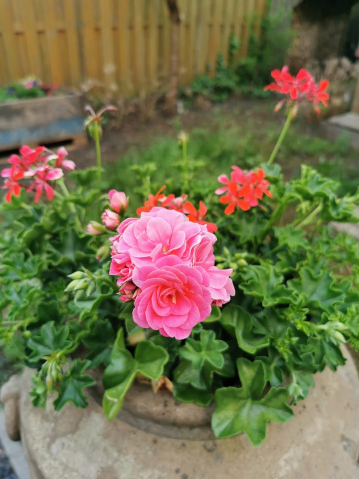 Foto 22 van De Mussetstraat 9