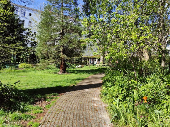 Foto 22 van Schoonderloostraat 155-B