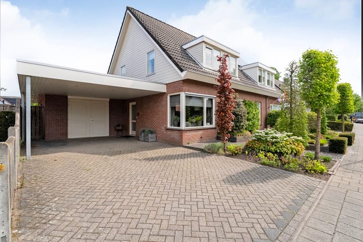 Foto 2 van Buizerd 12