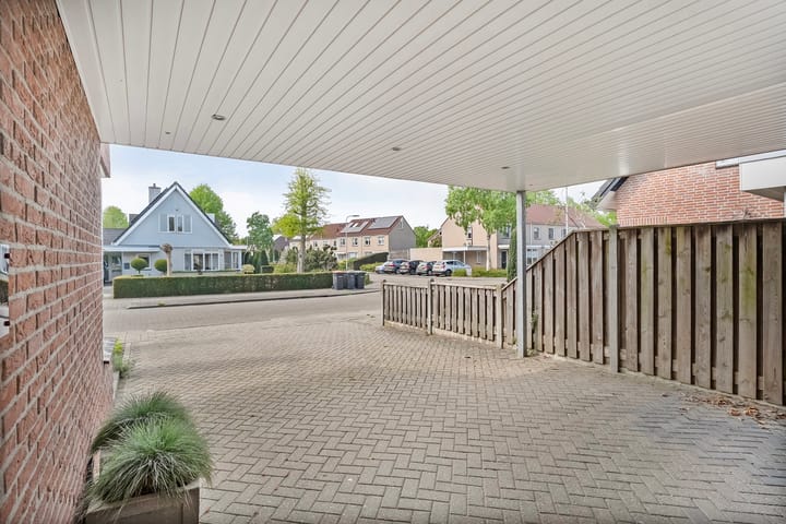 Foto 3 van Buizerd 12