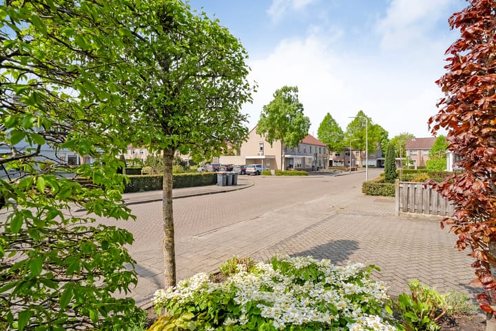 Foto 4 van Buizerd 12