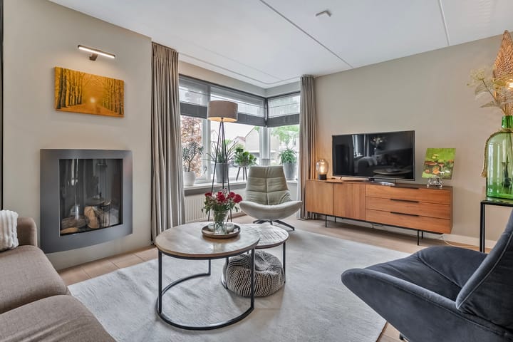 Foto 8 van Buizerd 12