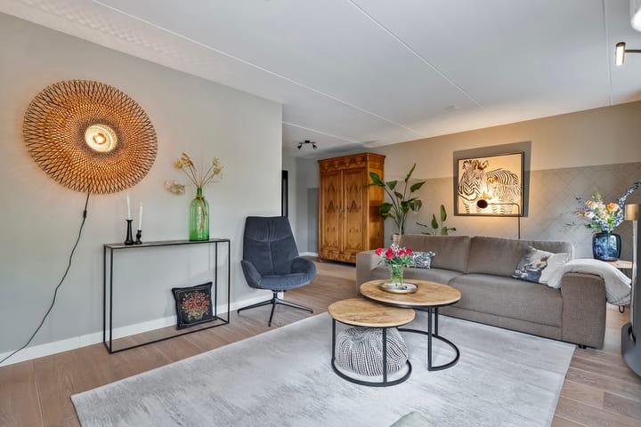 Foto 10 van Buizerd 12