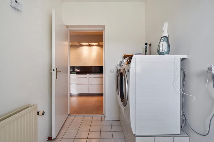 Foto 19 van Buizerd 12