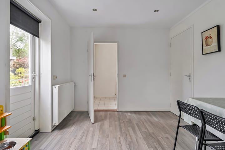 Foto 21 van Buizerd 12