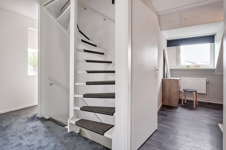 Foto 22 van Buizerd 12