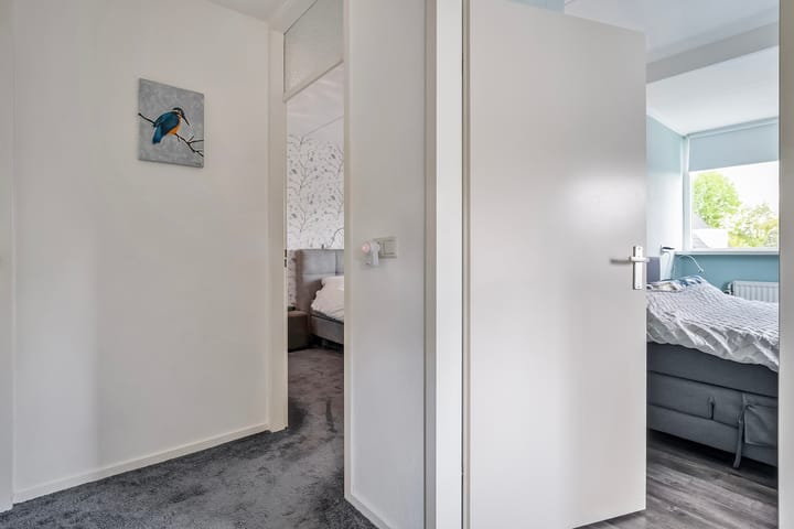 Foto 23 van Buizerd 12