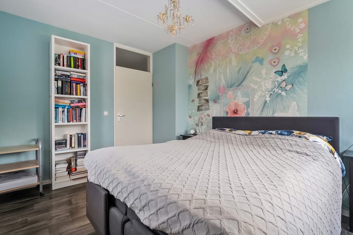 Foto 25 van Buizerd 12