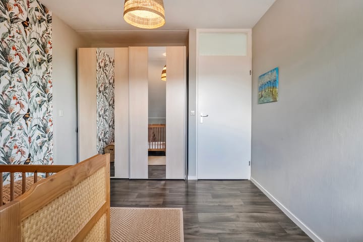 Foto 31 van Buizerd 12