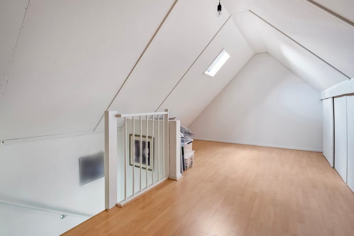 Foto 32 van Buizerd 12