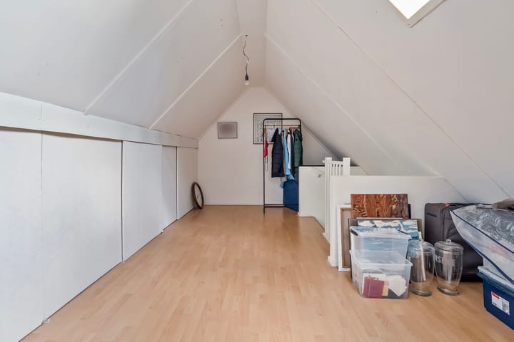 Foto 33 van Buizerd 12