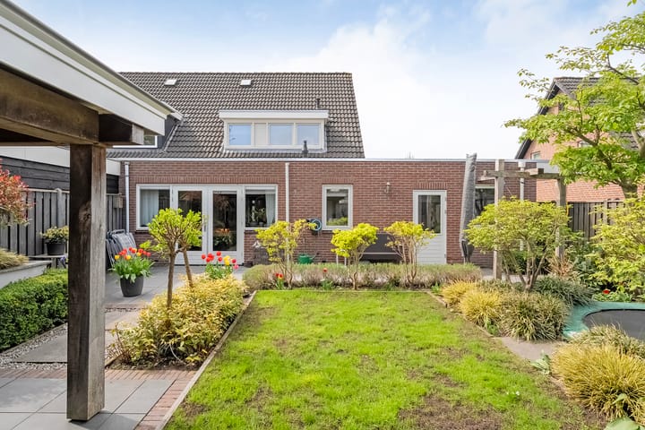 Foto 40 van Buizerd 12