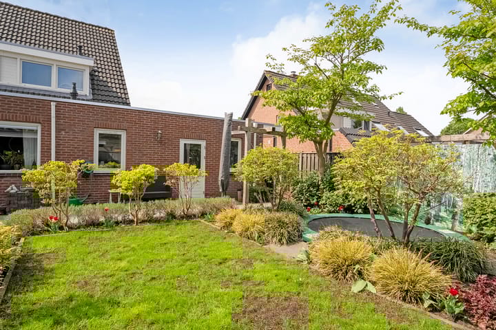 Foto 41 van Buizerd 12