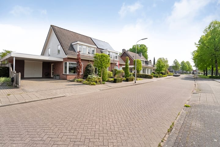 Foto 42 van Buizerd 12