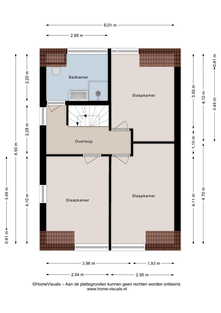 Foto 47 van Buizerd 12
